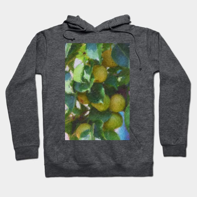 Secret Apples Hoodie by DarlaHallmark